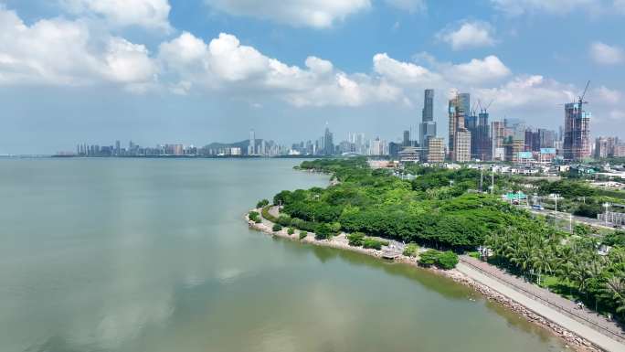 4K航拍深圳滨海城市海岸线风光
