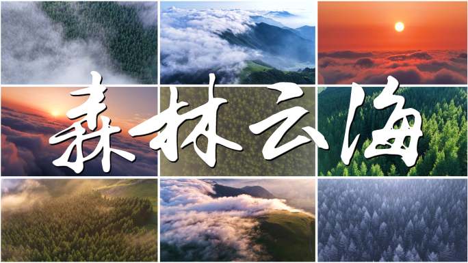 大自然云海日出森林四季航拍合集