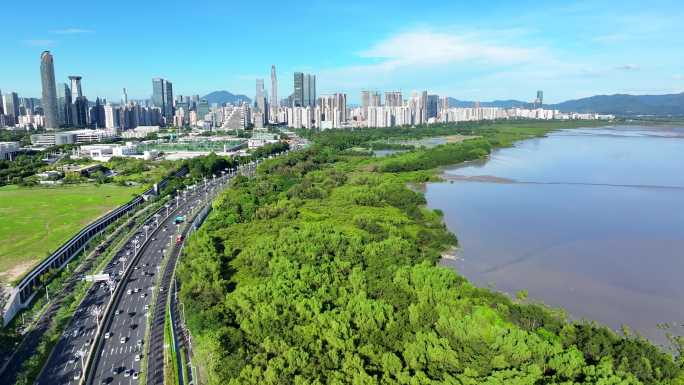 4K航拍深圳红树林滨海生态公园