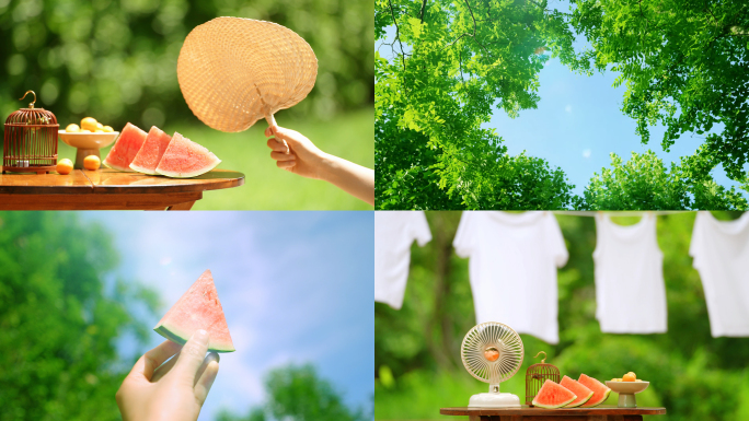夏天树叶阳光立夏夏至小暑大暑夏日小清新