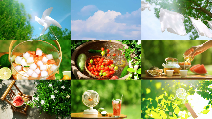 夏天树叶阳光立夏夏至小暑大暑夏日小清新