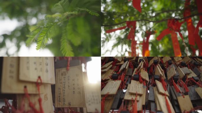 许愿树下的心愿寄托