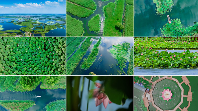 4K河北白洋淀延时荷花芦苇游船