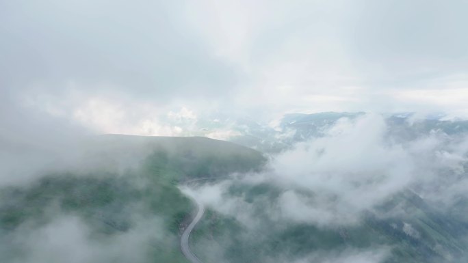 云雾缭绕的山间公路牧羊群