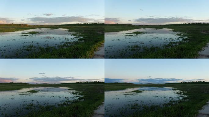 草原湿地日落下的牧羊人