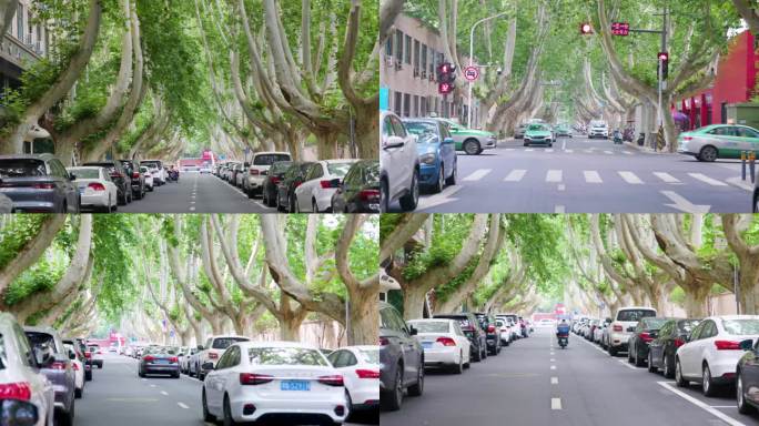郑州金水区马路街景