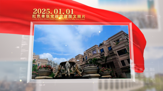 红色单张党政党建图文照片