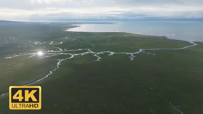 泉湾湿地