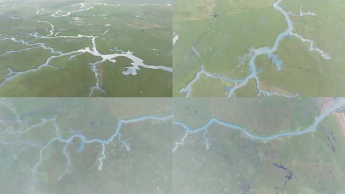 泉湾湿地