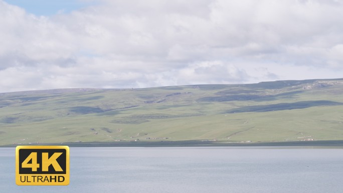泉湾湿地