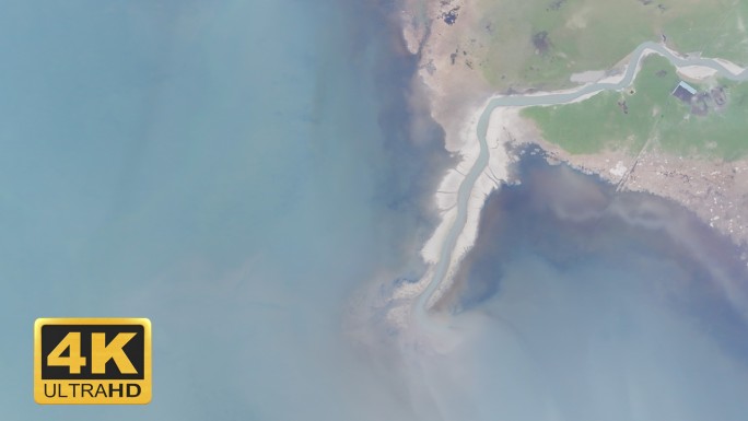 泉湾湿地