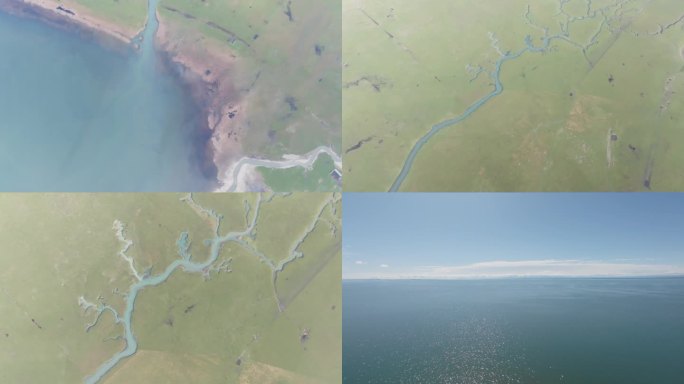 泉湾湿地