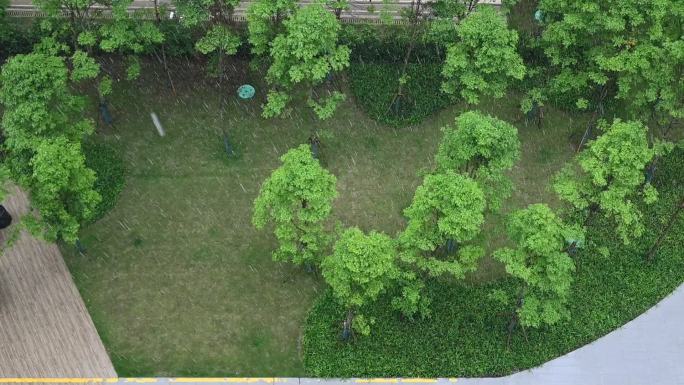 小区下雨天