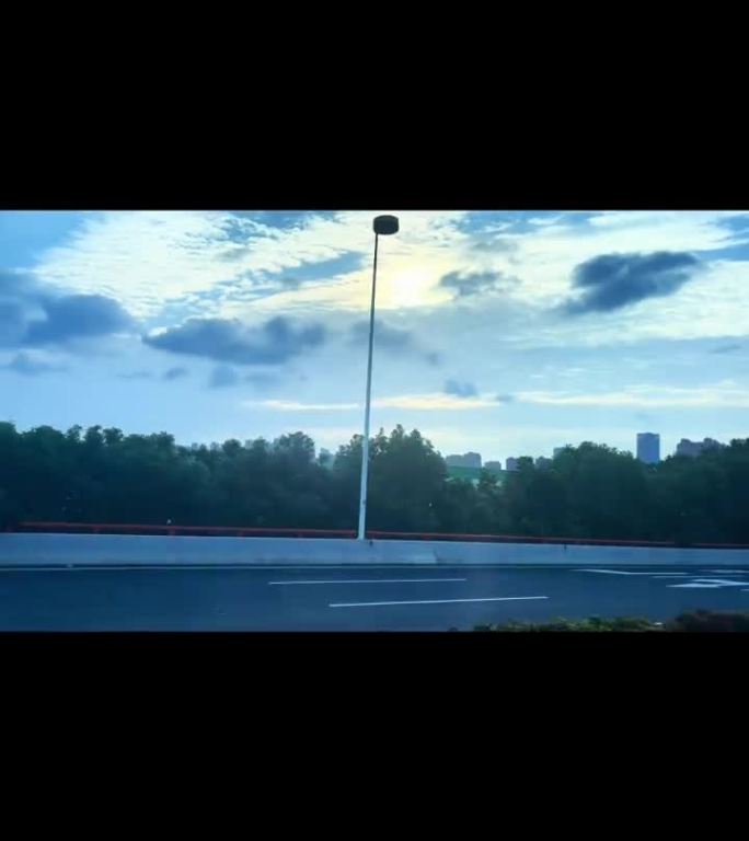 鲸鱼飞跃城市上空