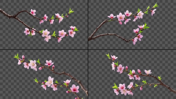 8款桃花树枝构图前景透明通道
