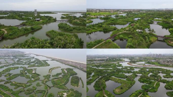 【最新】江东迈雅河滨海湿地公园
