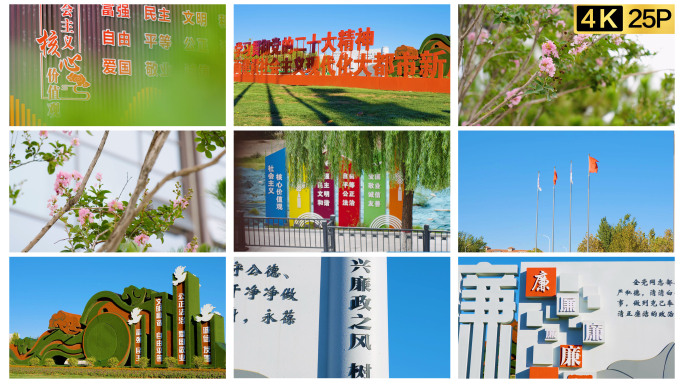学习二十大精神