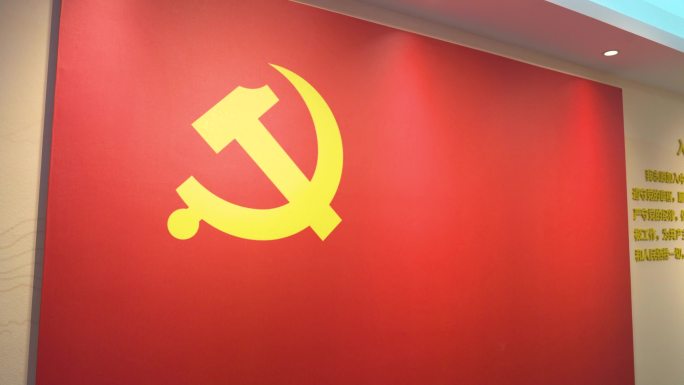 党旗下的庄严宣誓