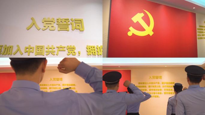 党旗下的庄严宣誓