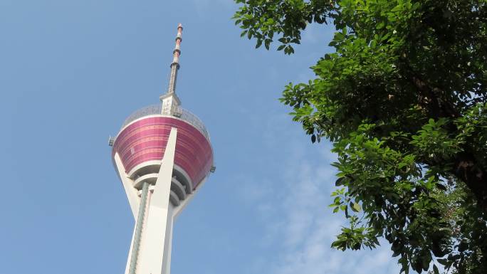 成都339地标建筑