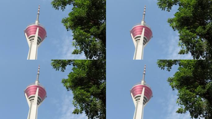 成都339地标建筑