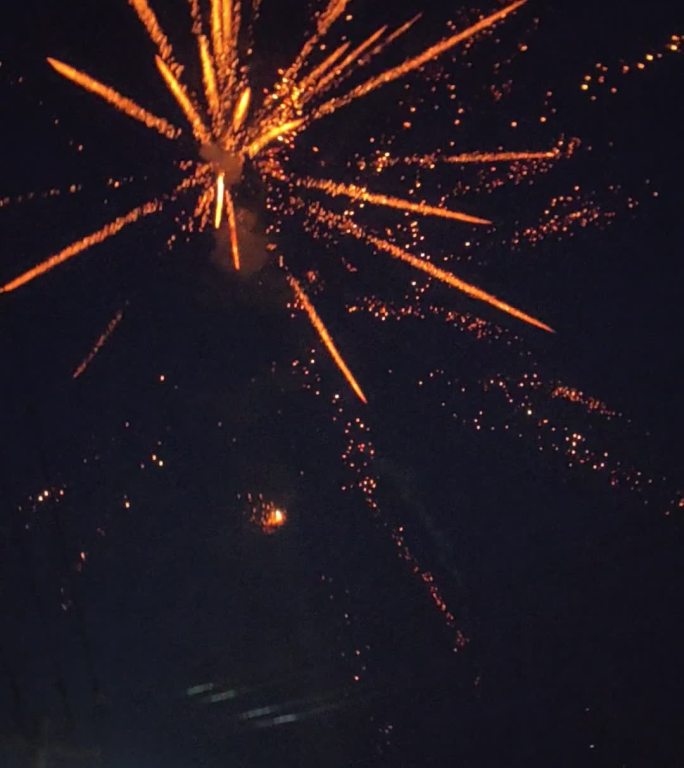 绚丽烟花绽放夜空