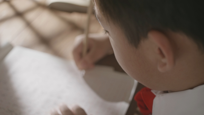 小学生学习 语文数学 写字算术