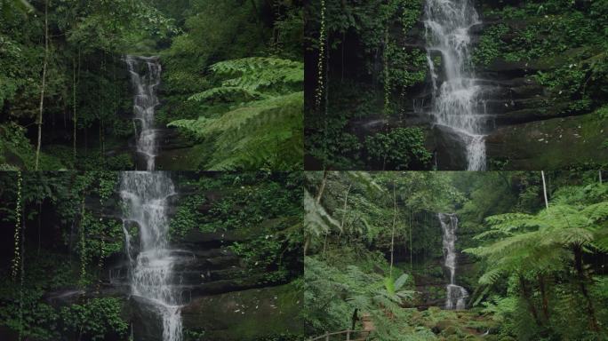 桫椤瀑布翠绿山间流水飞瀑