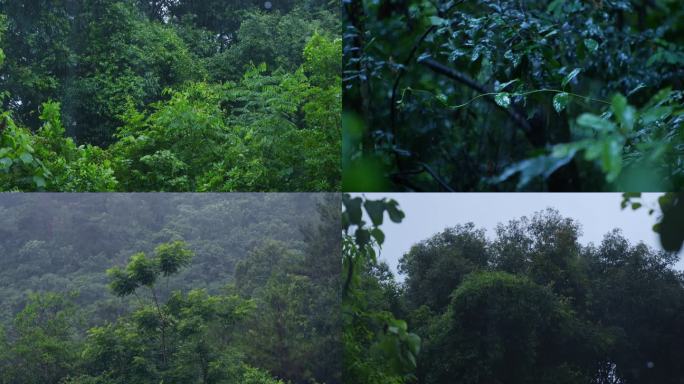 森林雨景山中暴雨下雨