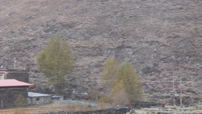 川西风光新都桥雪山下的藏地风光