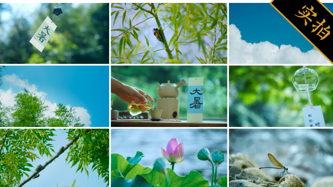 【大暑节气】夏日文艺清新空镜合集