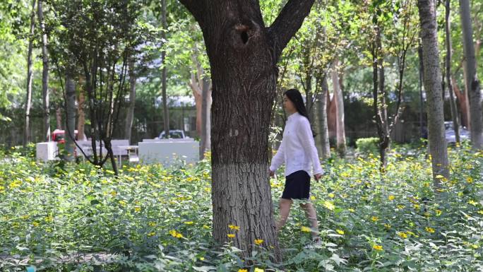 实拍毕业季校园学士服变装转场