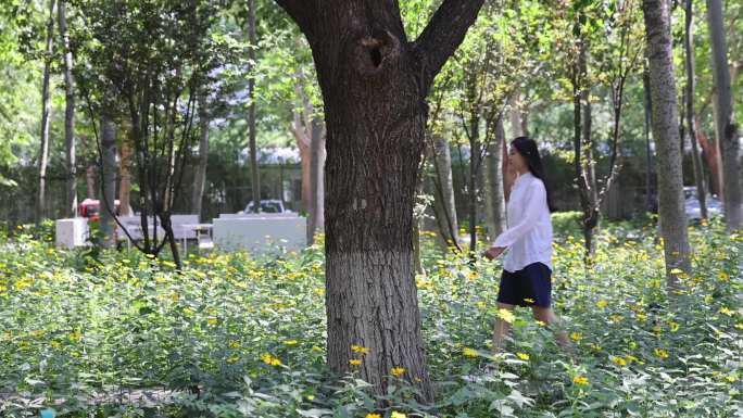 实拍毕业季校园学士服变装转场