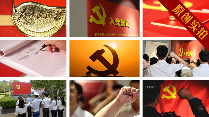 4K 多行业党员宣誓党徽入党党建党政
