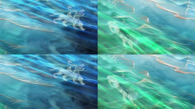 水上对决