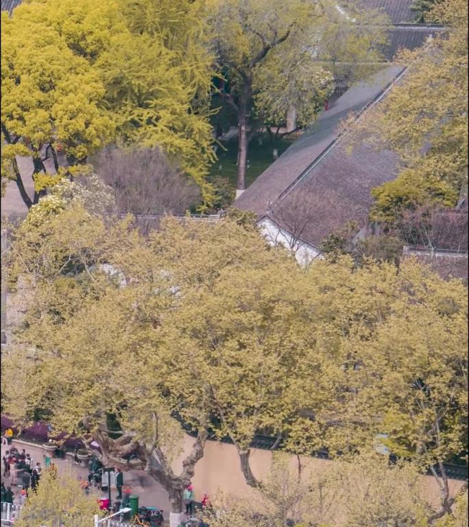南京_总统府_日景延时4K