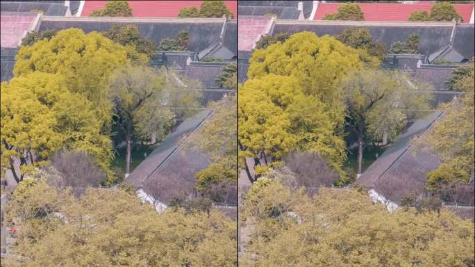 南京_总统府_日景延时4K