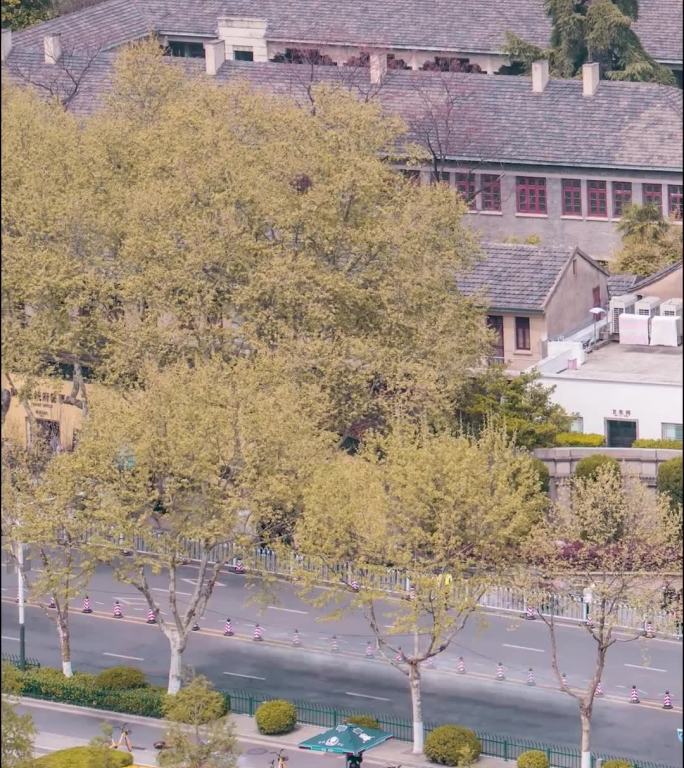 南京_总统府_日景延时4K