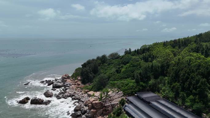 绿树礁石海岸线风光