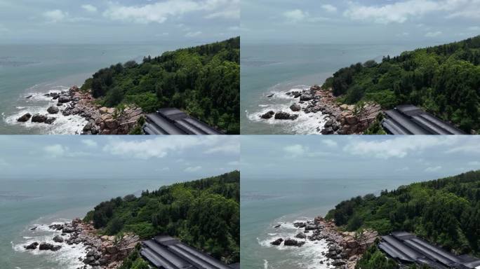 绿树礁石海岸线风光