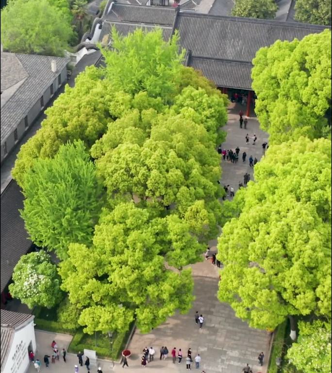 南京_总统府_航拍合集