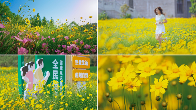 金色花海古建筑户外跑步夏天晨跑春天花朵