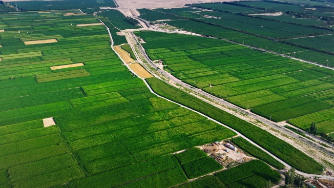 壮丽山河下的田园风光
