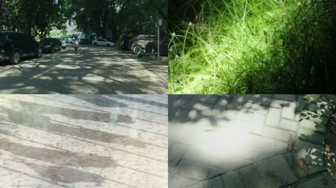 阳光下的街道与绿意透光