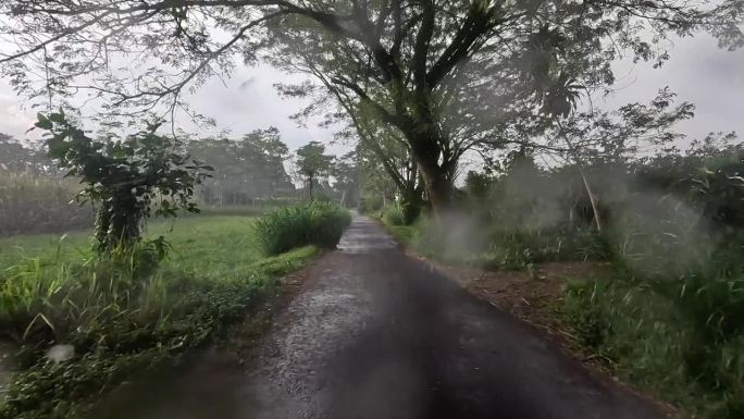 在大雨中驾驶，路两旁是稻田的美丽景色。