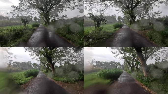 在大雨中驾驶，路两旁是稻田的美丽景色。