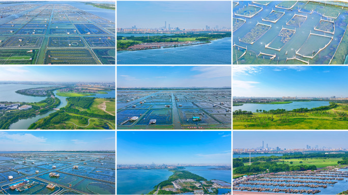 苏州阳澄湖大闸蟹养殖基地海鲜河鲜螃蟹养殖