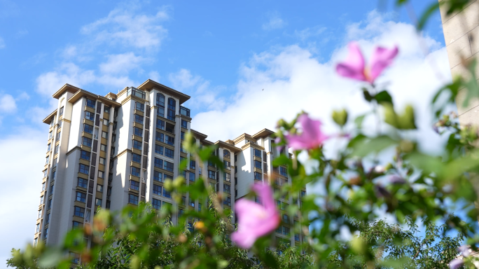城市小区社区环境建筑与树木光影