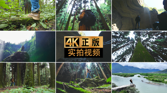 自然探索探寻寻找徒步户外森林旅行探险背影