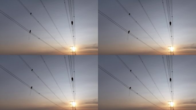 夕阳下的高压电线维护
